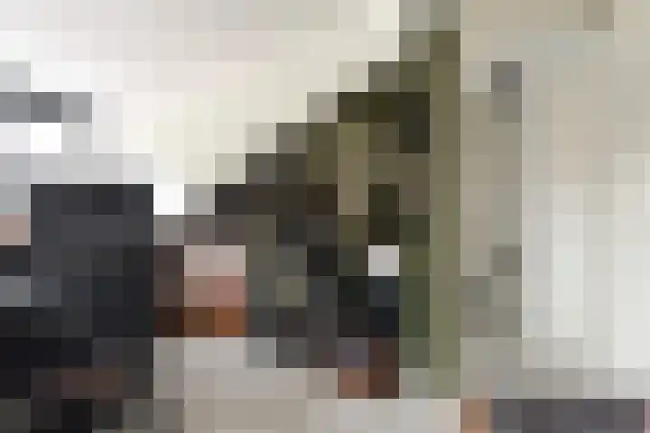 Du Perronhove 5 Zoetermeer thumbnail 37