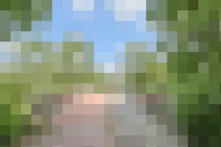 Du Perronhove 5 Zoetermeer thumbnail 41