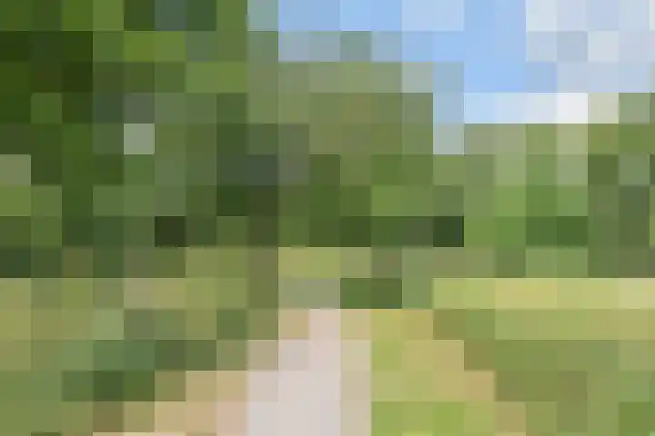 Du Perronhove 5 Zoetermeer thumbnail 42
