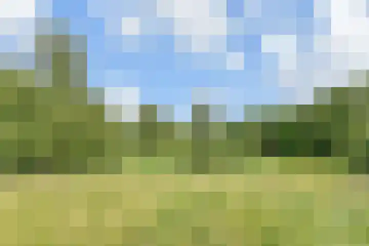 Du Perronhove 5 Zoetermeer thumbnail 43