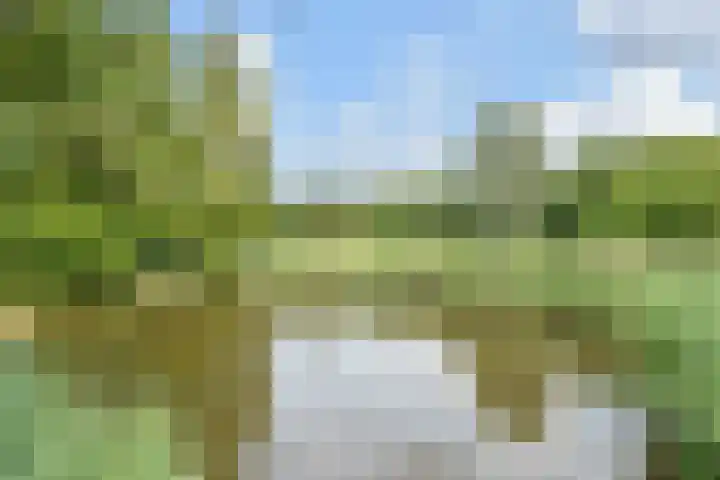 Du Perronhove 5 Zoetermeer thumbnail 44