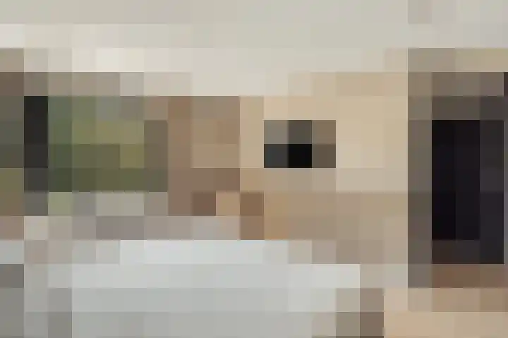 Du Perronlaan 1 Uithoorn thumbnail 28