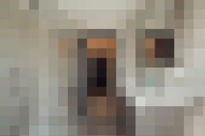 Du Perronlaan 1 Uithoorn thumbnail 34