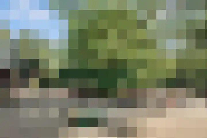 Du Perronlaan 1 Uithoorn thumbnail 53