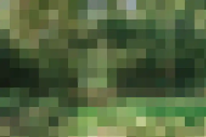 Du Perronlaan 1 Uithoorn thumbnail 55