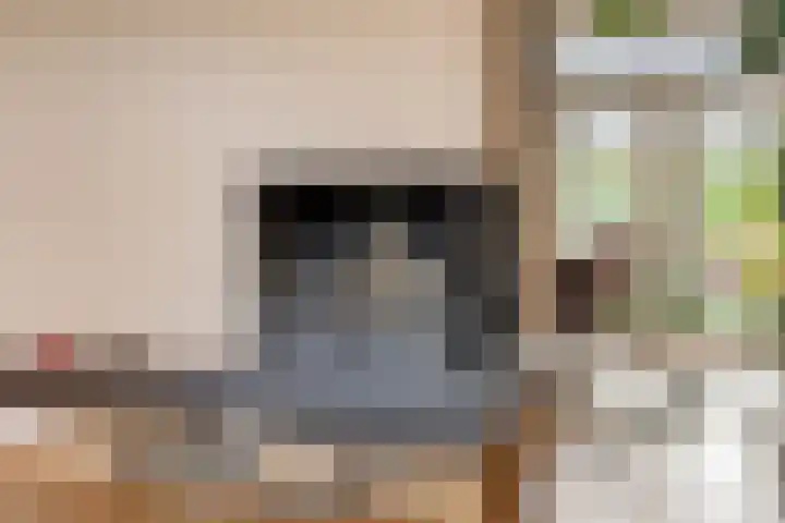 Du Perronlaan 32 Groningen thumbnail 15