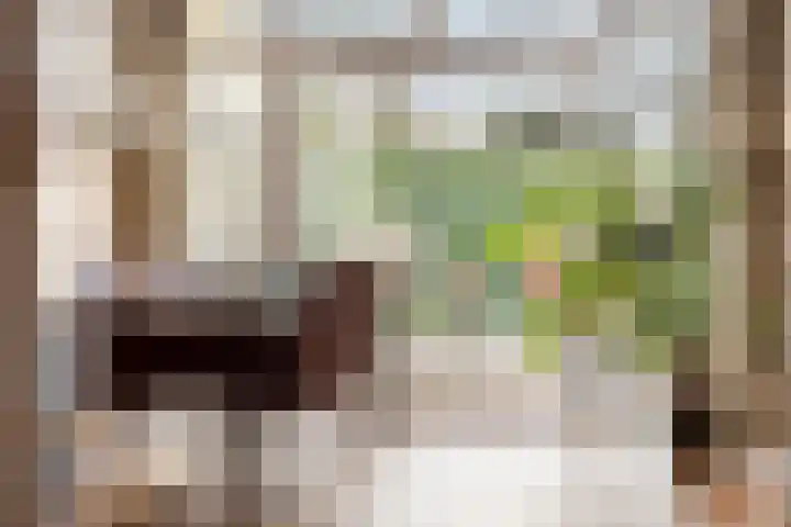 Du Perronlaan 32 Groningen thumbnail 16