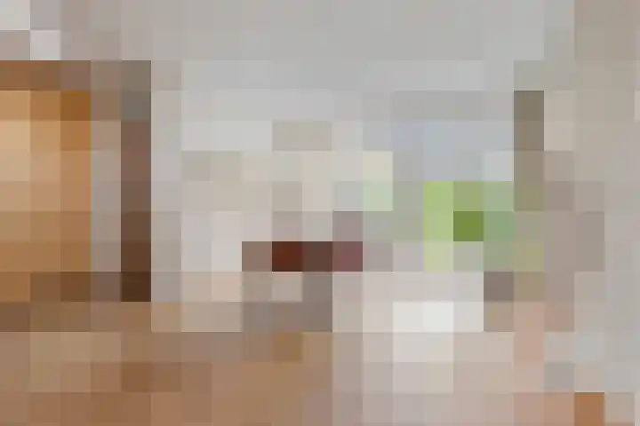 Du Perronlaan 32 Groningen thumbnail 17