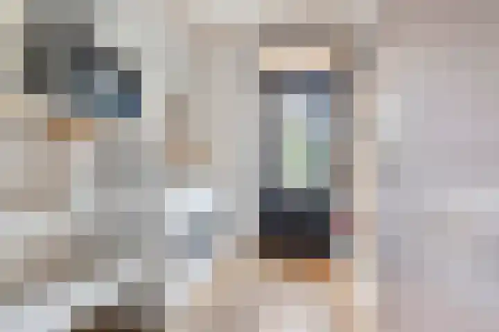 Du Perronlaan 32 Groningen thumbnail 20