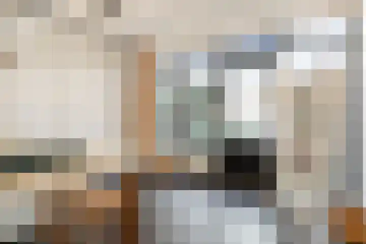 Du Perronlaan 32 Groningen thumbnail 27