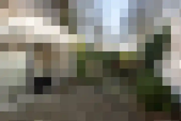 Du Perronlaan 32 Groningen thumbnail 35