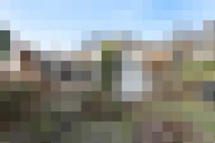 Du Perronlaan 32 Groningen thumbnail 38