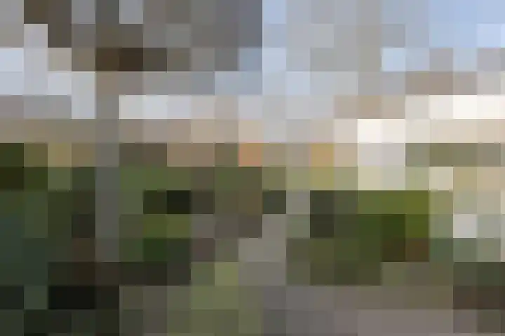 Du Perronlaan 32 Groningen thumbnail 39