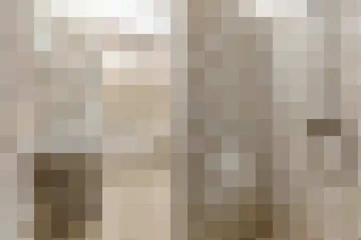 Du Perronlaan 32 Groningen thumbnail 4