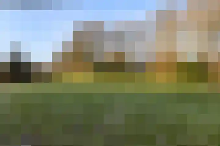 Du Perronlaan 32 Groningen thumbnail 40