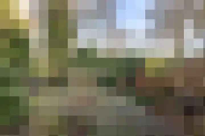 Du Perronlaan 32 Groningen thumbnail 5