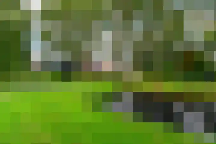 Du Perronlaan 42 Uithoorn thumbnail 28