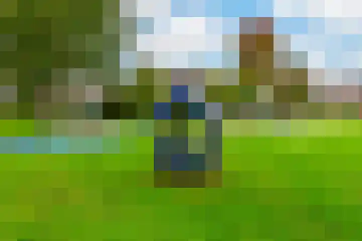 Du Perronlaan 42 Uithoorn thumbnail 29