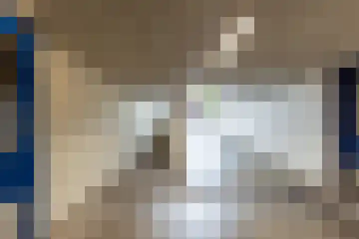 Du Perronstraat 18 Haarlem thumbnail 18