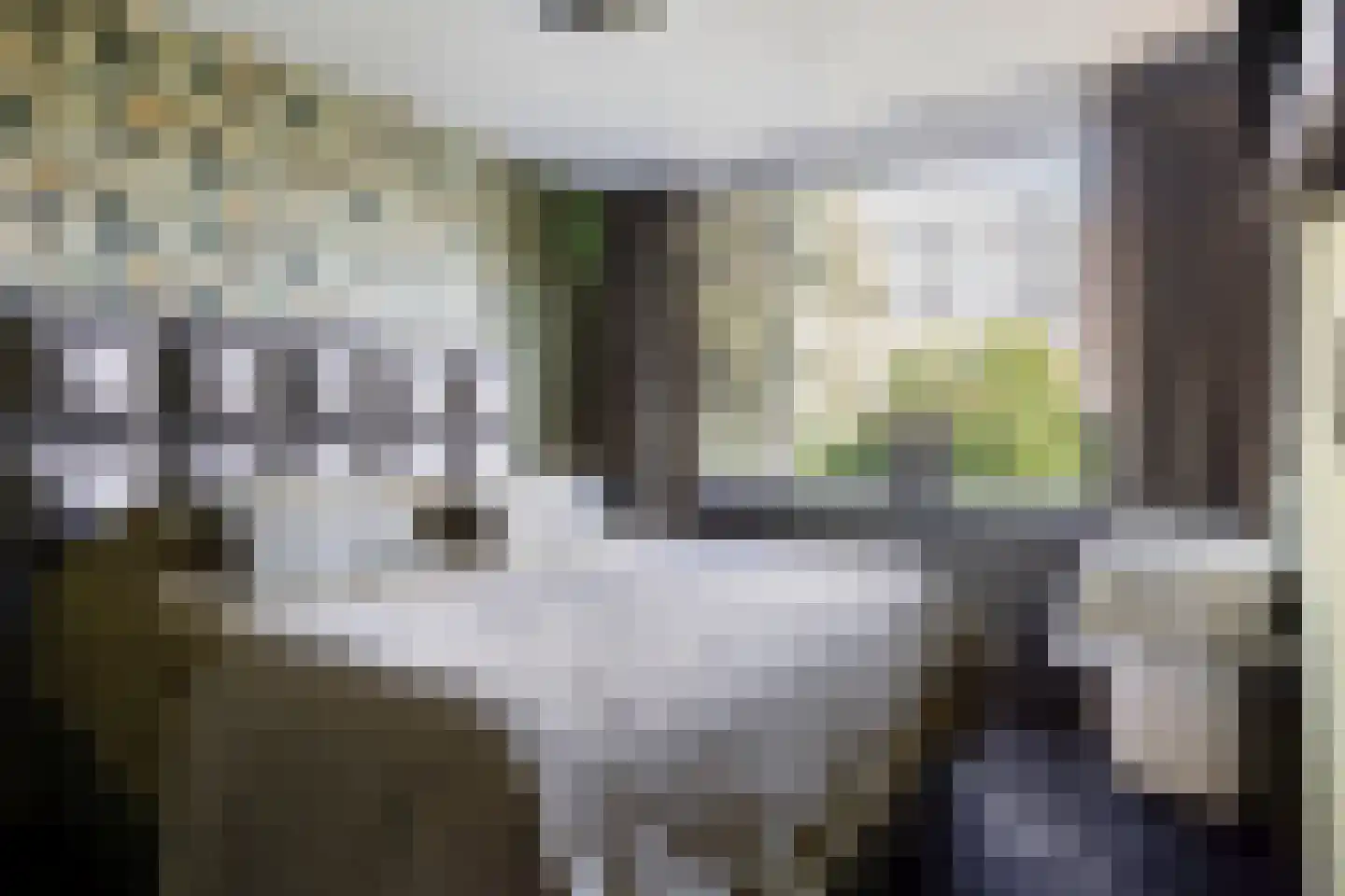 Du Perronstraat 7 Rotterdam thumbnail 12