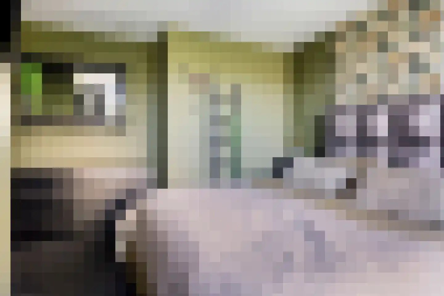 Du Perronstraat 7 Rotterdam thumbnail 13