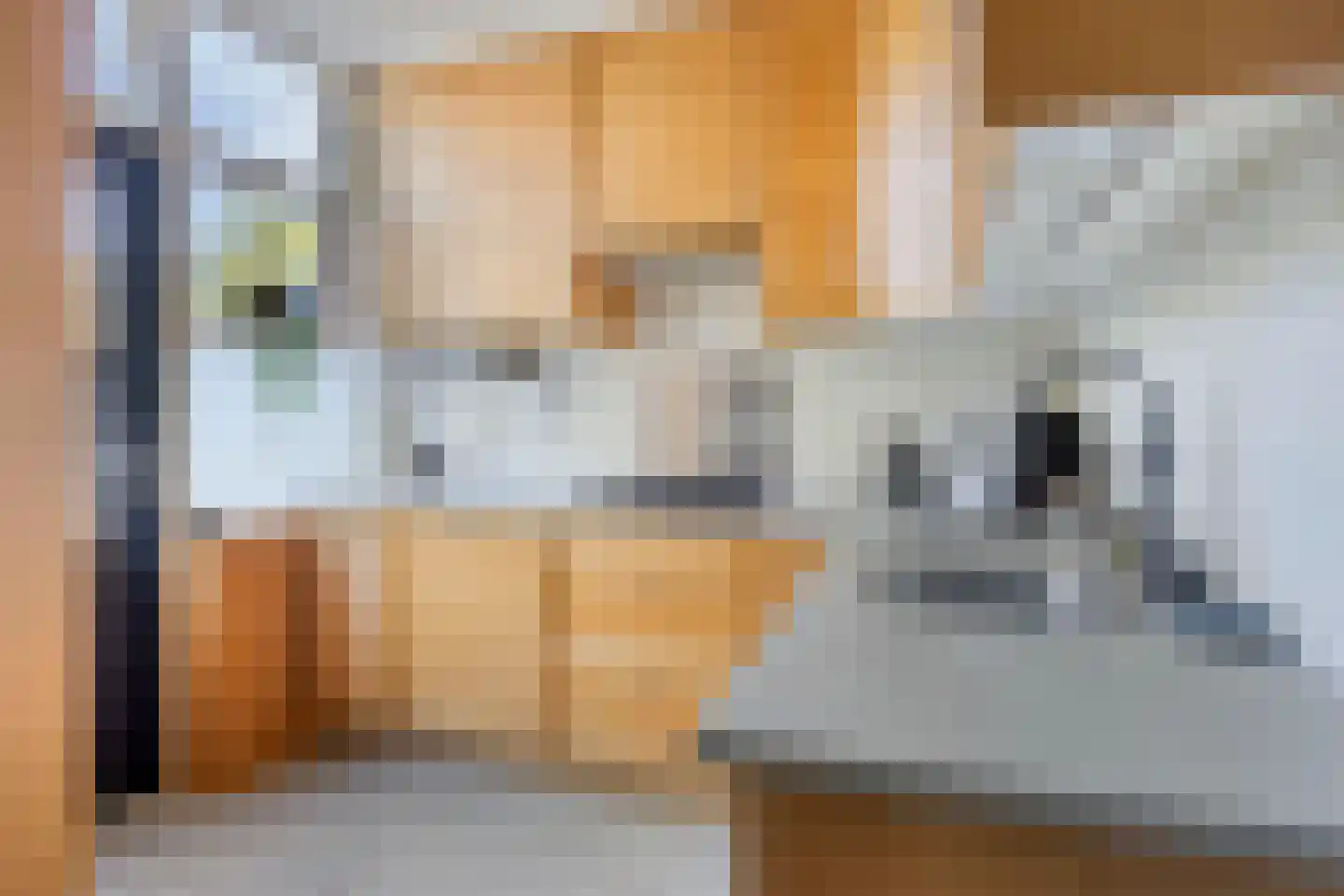 Du Perronstraat 7 Rotterdam thumbnail 8