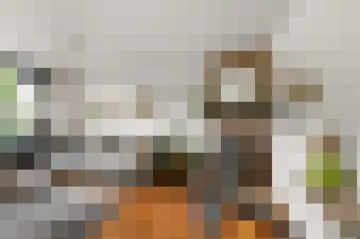 Du Peyroulaan 6 Limmen thumbnail 10