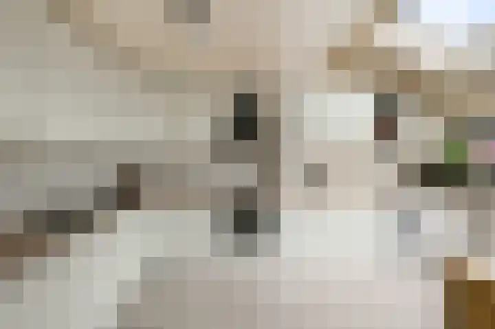 Du Peyroulaan 6 Limmen thumbnail 12
