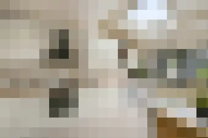 Du Peyroulaan 6 Limmen thumbnail 13