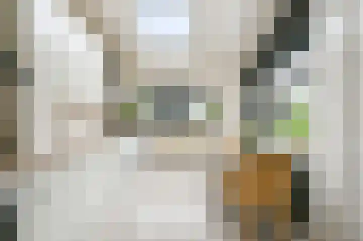Du Peyroulaan 6 Limmen thumbnail 14