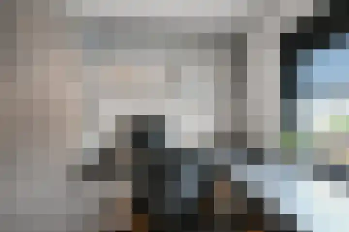 Du Peyroulaan 6 Limmen thumbnail 19