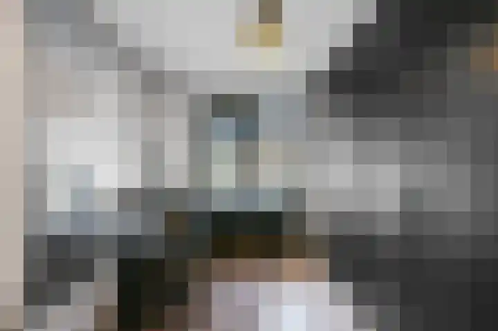 Du Peyroulaan 6 Limmen thumbnail 20