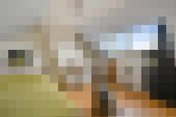 Du Peyroulaan 6 Limmen thumbnail 32