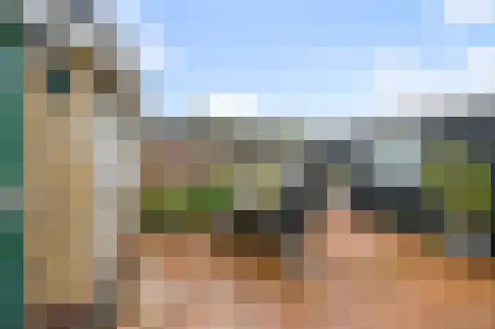 Du Peyroulaan 6 Limmen thumbnail 35