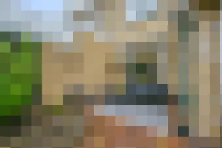 Du Peyroulaan 6 Limmen thumbnail 38