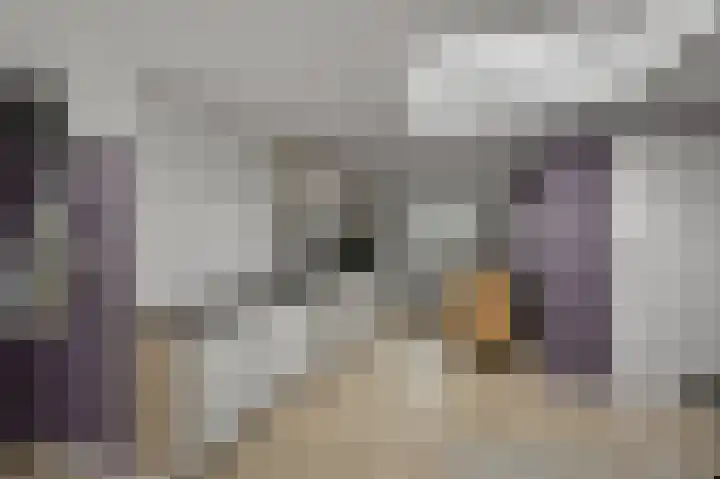 Du Peyroulaan 6 Limmen thumbnail 40