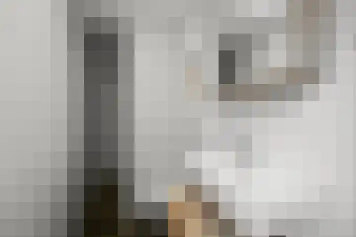 Du Peyroulaan 6 Limmen thumbnail 42