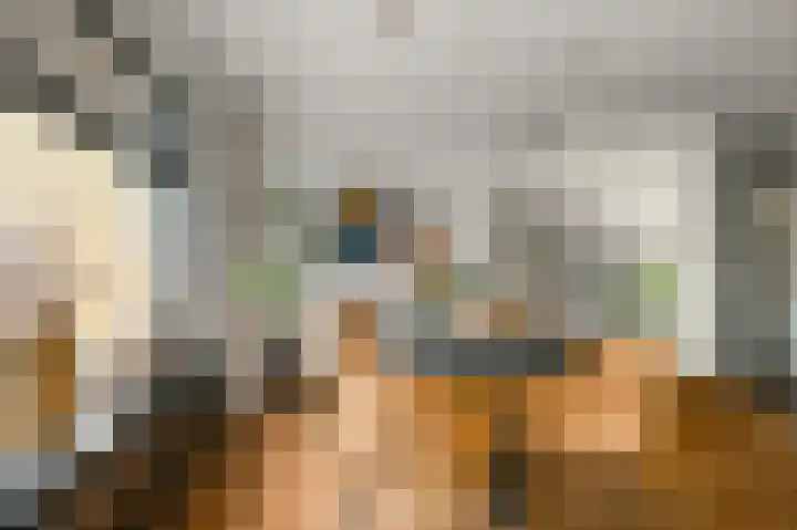 Du Peyroulaan 6 Limmen thumbnail 5