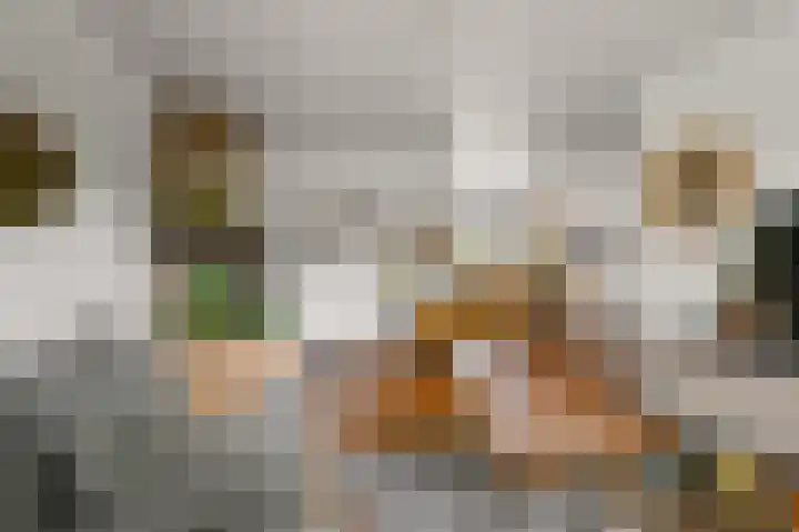 Du Peyroulaan 6 Limmen thumbnail 9
