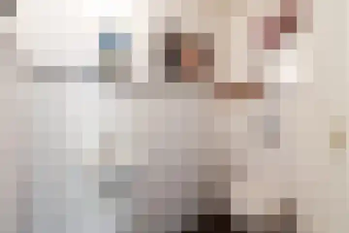 Du Rieustraat 7 Leiden thumbnail 4