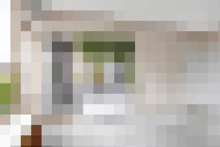 Du Toursstraat 33 Wijckel thumbnail 12