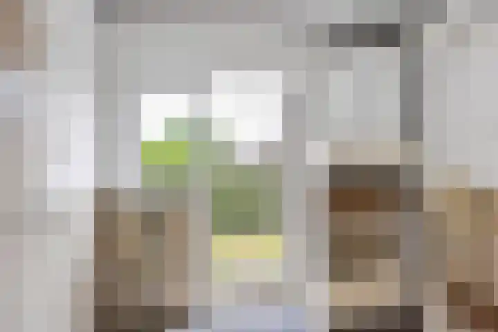 Du Toursstraat 33 Wijckel thumbnail 19