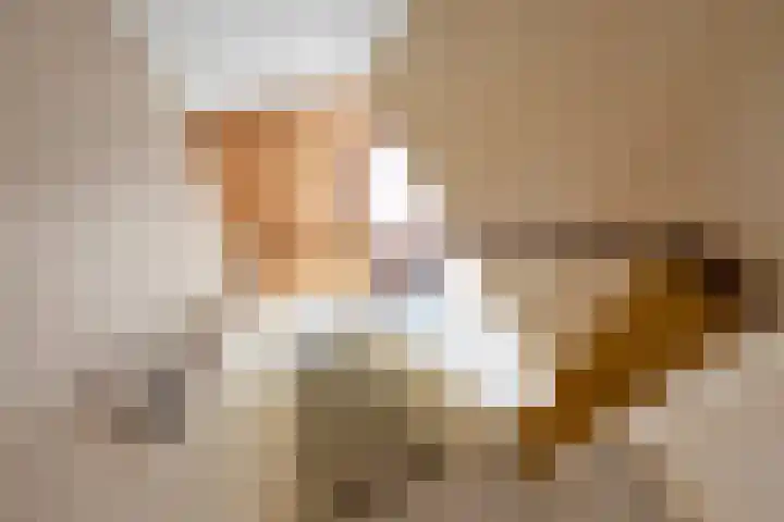 Du Toursstraat 33 Wijckel thumbnail 21