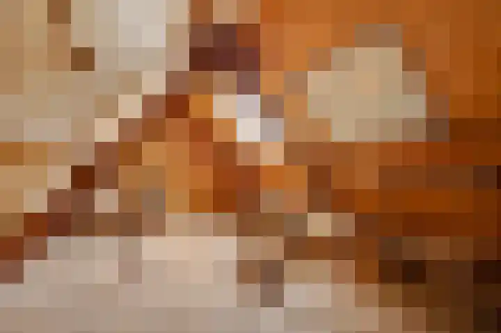 Du Toursstraat 33 Wijckel thumbnail 27