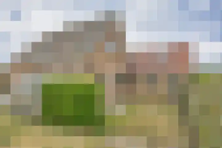 Du Toursstraat 33 Wijckel thumbnail 28