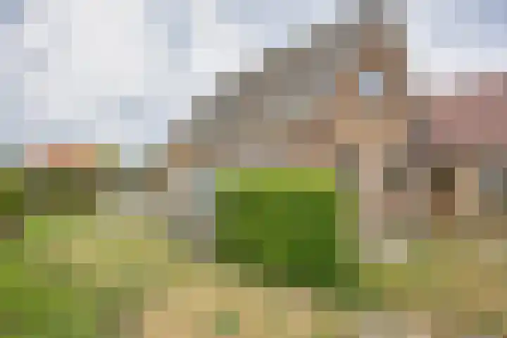 Du Toursstraat 33 Wijckel thumbnail 29
