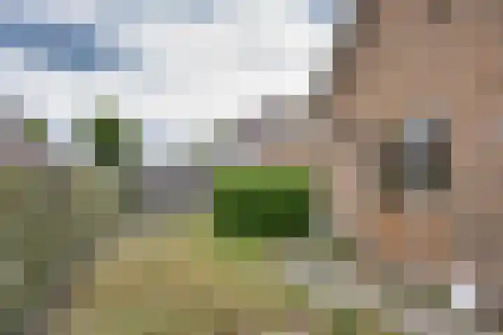 Du Toursstraat 33 Wijckel thumbnail 30