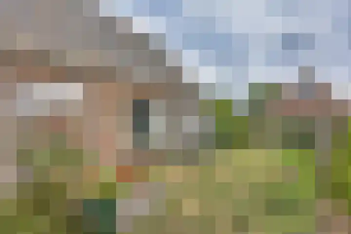 Du Toursstraat 33 Wijckel thumbnail 31