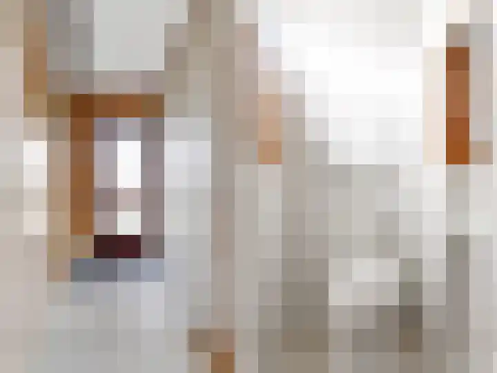 Du Toursstraat 33 Wijckel thumbnail 9