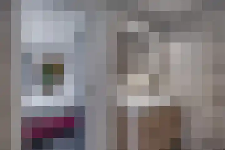 du Tourweg 19 Epse thumbnail 29